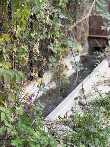 Продажа домов: Дача, 25 м², 2 комнаты — 4