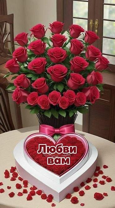 alov gulu: Anthurium (Alov çiçəyi) otaq bitkisi və dekorativ gül kompozisiyaları — 4