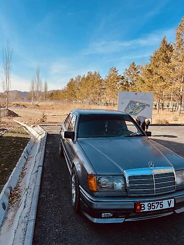 Mercedes-Benz: Mercedes-Benz W124: 1988 г., 3.2 л, Механика, Бензин, Седан — 2