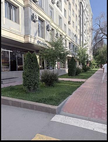 kant flat: 1 комната, 44 м², Филармония Элитка, 4 этаж — 2