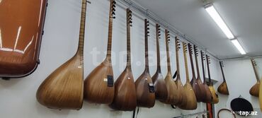 Saz: Sazlar Saz, musiqi aləti, Milli saz böyük endirim kompaniyası davam — 5