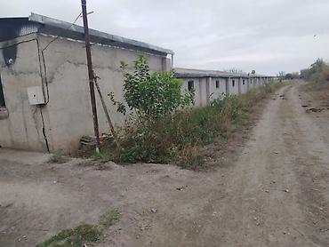 əmlak az ismayıllı: Ferma mal bazarina bir kilometr mesafede yerlesirqarabag su — 1