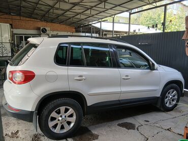 шины пассат: Volkswagen Tiguan: 2008 г., 0.2 - engine capacity л, Автомат, Бензин, Жол тандабас