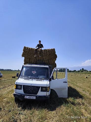205 65 15р: Грузовик, Mercedes-Benz, Дубль, Б/у — 3