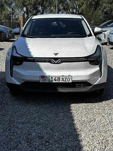 Электромобиль Skyworth Skyworth EV (бренд-логотип на кузове), белый