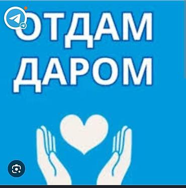 Комплекты одежды: Комплект, цвет - Синий — 1