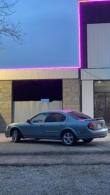 Nissan: Nissan Maxima: 2000 г., 3 л, Автомат, Бензин, Седан — 3