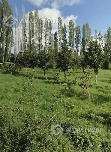 150 соток, Айыл чарба үчүн, Кызыл китеп — 4