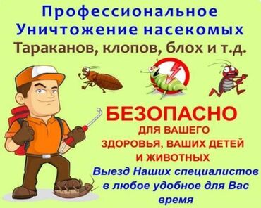 Дезинфекция, дезинсекция: Дезинфекция, дезинсекция, | Блохи, Вирусы, микробы, Клопы, | Дома, Кафе, магазины, Квартиры — 20