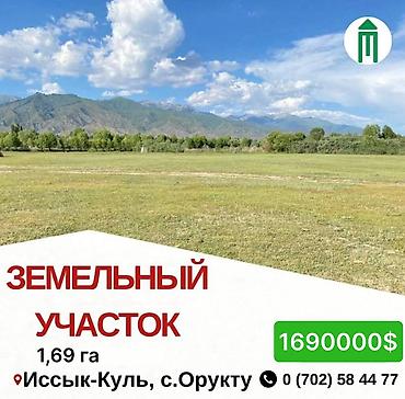 169 соток, Для бизнеса, Красная книга, Договор купли-продажи