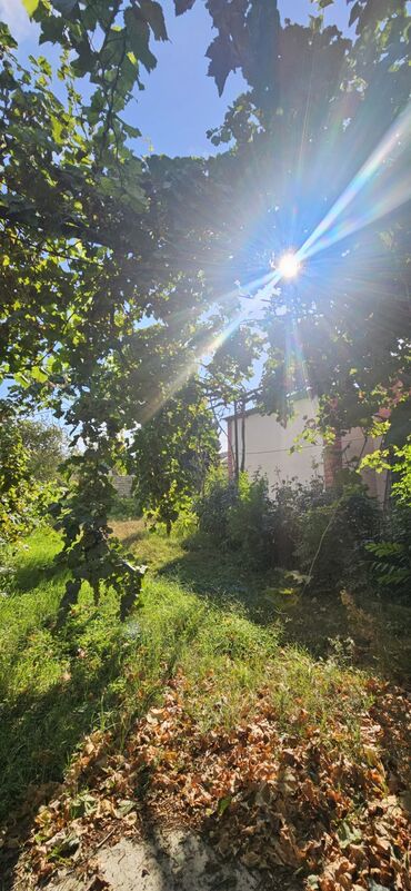 Torpaq sahələrinin satışı: 48 sot, Kənd təsərrüfatı, Kupça (Çıxarış) — 11