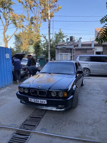 панель бмв: BMW 525: 1995 г., 2.5 л, Механика, Бензин, Седан