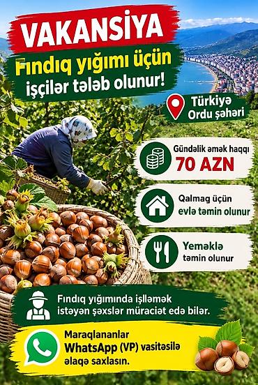 İşə qəbul başladi✅ lalafo.az -da İşə qəbul başladi✅