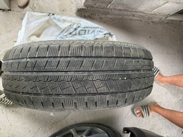 шины шипованные бу: Шиналар 25 / R 17, Winter stud, Колдонулган, Комплект, Жол тандабастар (АТ/МТ)