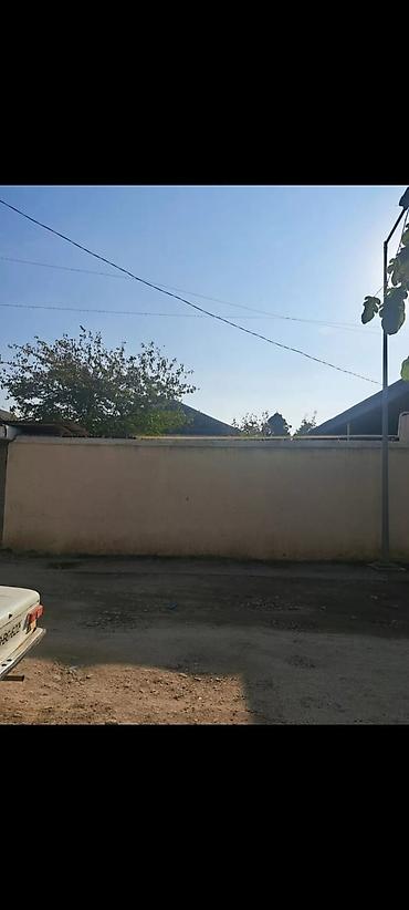 sahe: 2 sot, Tikinti, Mülkiyyətçi, Kupça (Çıxarış) — 1