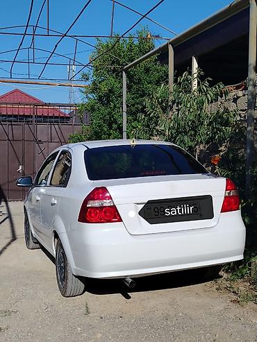 raf satilir: Ravon Nexia: 1.5 l | 2020 il 227000 km Sedan — 3