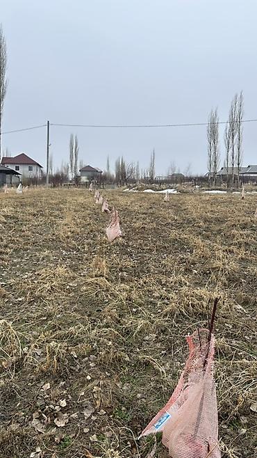 Продажа участков: 20 соток, Для строительства — 8