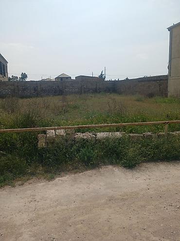 bagi: 6 sot, Tikinti, Mülkiyyətçi, Kupça (Çıxarış) — 1