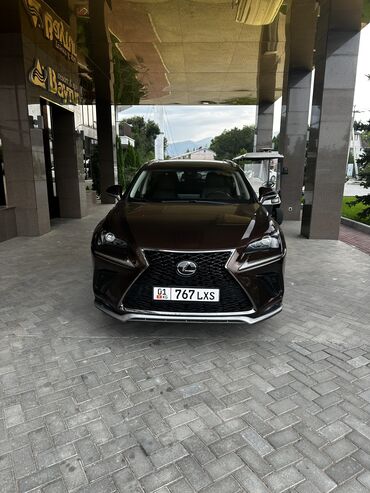 пылесос для химчистки: Lexus NX: 2018 г., 2 л, Автомат, Бензин, Кроссовер