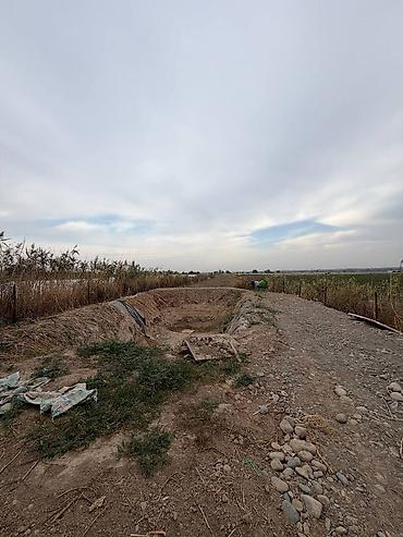 Продажа участков: 50 соток, Для сельского хозяйства, Договор купли-продажи — 4