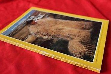 Knjige: NATIONAL GEOGRAPHIC MAJ 1988. | National Geographic Maj 1988 — 10