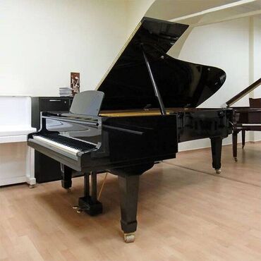 Музыкальные инструменты: Продаю концертный рояль высокого класса "Blüthner" 275 Аналог