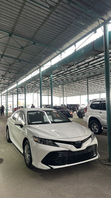 фары тойота виндом: Toyota Camry: 2020 г., 2.5 л, Автомат, Гибрид, Седан