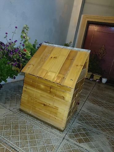 vəhşi itlər: Pişik üçün əl işi yuva satılır 30 azn endirim olar isteyen olsa elage — 3