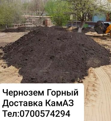 цветы многолетний кустарник: Өзү алып кетүү, Камаз