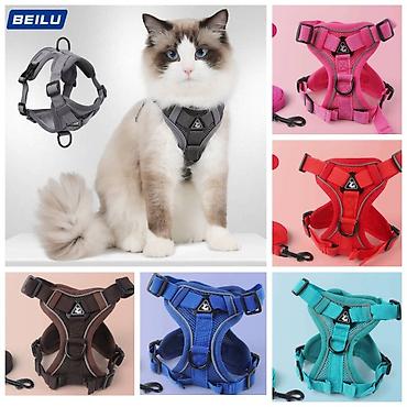 Зоотовары: Продаю когтеточку/лежанку 2в1,с кошачей мятой,вашему котику будет чем — 27