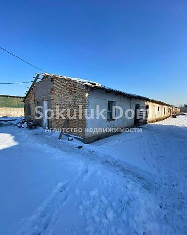 Продажа коттеджей и домов: 🏠Продается дом в с. Сокулук с участком 40 соток и кошарой. От трасы 2 — 5