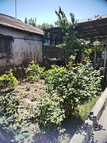 bilgəh bağ evləri: Mingeçevir şəhəri həyət evi satılır. Ünvan H. Z. TAĞIYEV Ev 28(keçmiş — 3