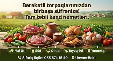 evlerin dizayni ve temiri: Peşəkar İnşaat və Tikinti Xidmətləri – Kamran Usta Bakı şəhəri üzrə — 1