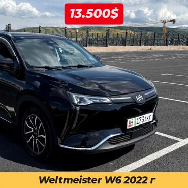 опель вектора б: Weltmeister W6, 2022 г., Бар