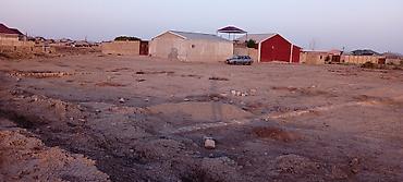 Torpaq: Tikinti — 2