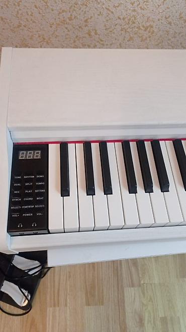 volta vs2: Piano Suita Ağ Rəqəmsal işlənmiş görünüşünə baxmayaraq, pianino tam — 6