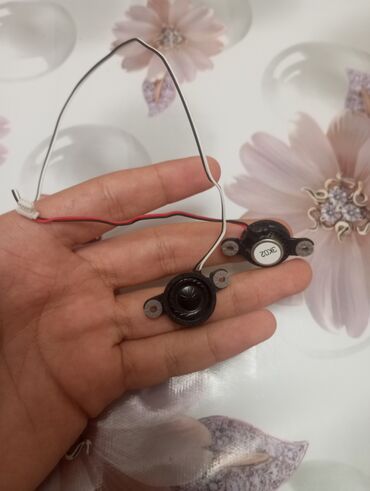 Digər ehtiyat hissələri: Toshiba satellite C55-A Ehtiyat hissələri üçün, çünki lövhədхзə bir -da lalafo.az — 9 Digər ehtiyat hissələri: Toshiba satellite C55-A Ehtiyat hissələri üçün, çünki lövhədхзə bir — 9