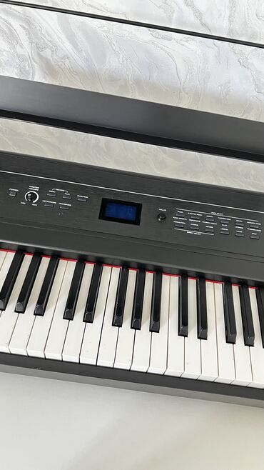 музыкальная техника: Alesis Recital Pro – санарип пианино (88 клавиш, Hammer-Action)