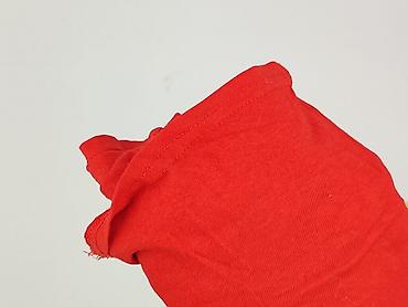 tn: Terranova, T-shirt damski, rozmiar XS — 6