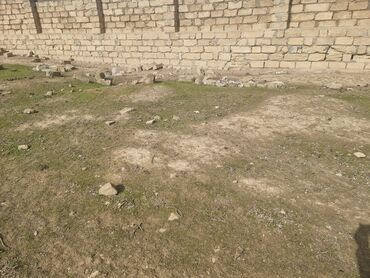Torpaq sahələrinin satışı: 130 sot, Mülkiyyətçi, Kupça (Çıxarış)