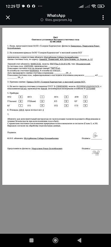 бегония цветок: Олеандр в горшке — декоративный куст с обильным цветением - Растение — 6
