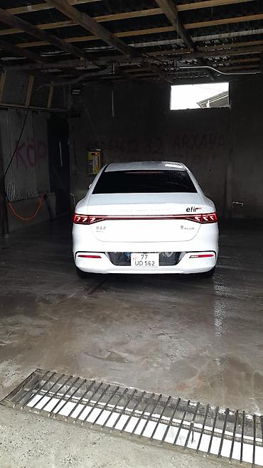 byd satisi: Arenda BYD Qin Plus DM-i sedan - Kuzov: ağ rəng, aerodinamik fastback — 6