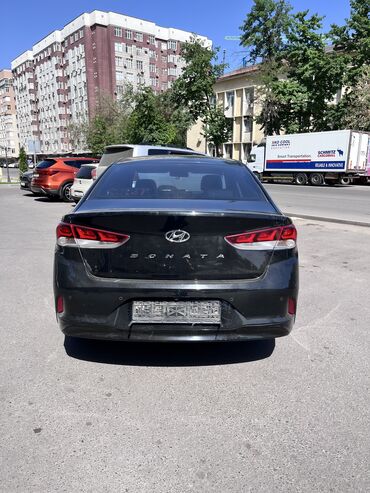 Hyundai: Hyundai : 2019 г., 2 л, Автомат, Газ, Седан