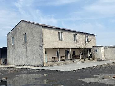 fermaya: FERMA satılır Pirəkəşkül qəsəbəsində MAL,QOYUN,QUŞ FERMALARI MAL VƏ — 10