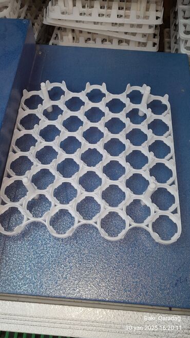 İnkubatorlar: 88 ədədlik toyuq latoq 
ölçü (50 .36) — 5