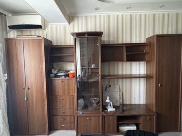 купейный шкаф: Гарнитур для зала, ДСП
