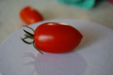 Другие услуги: Ищу бизнес партнера, инвестора, для выращивания овощей (открытый — 21