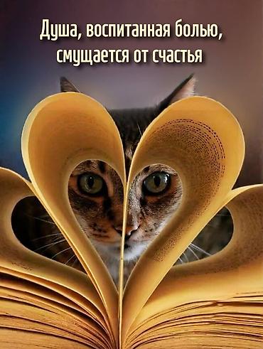 ош работы: Сиделка Больше 6 лет опыта — 4