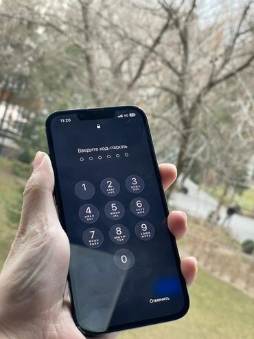 Apple iPhone: IPhone 13, 83 % — 5