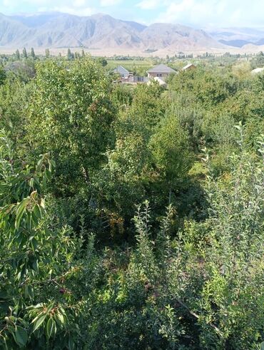 аренда дома под офис: Айыл чарба үчүн